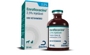 Enrofloxacino 2,5%